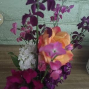 Meet your Posher, Annette